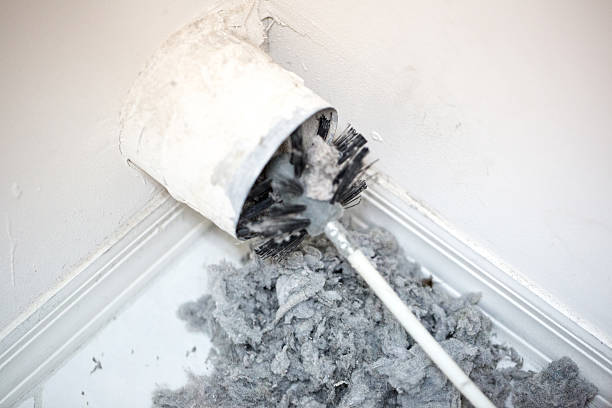 Best Air Duct Cleaning Company Near Me  in Picture Rocks, AZ